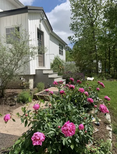 Planted garden beds and flowering shrubs beside the residence